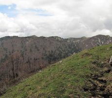 Nebo se počasi trga